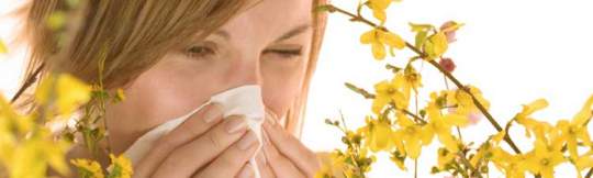 Allergie