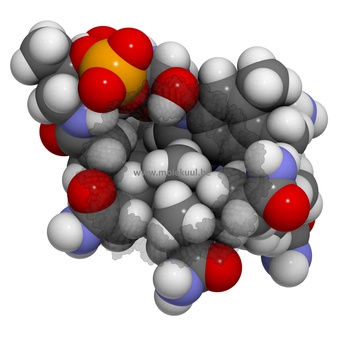 Vitamin B12